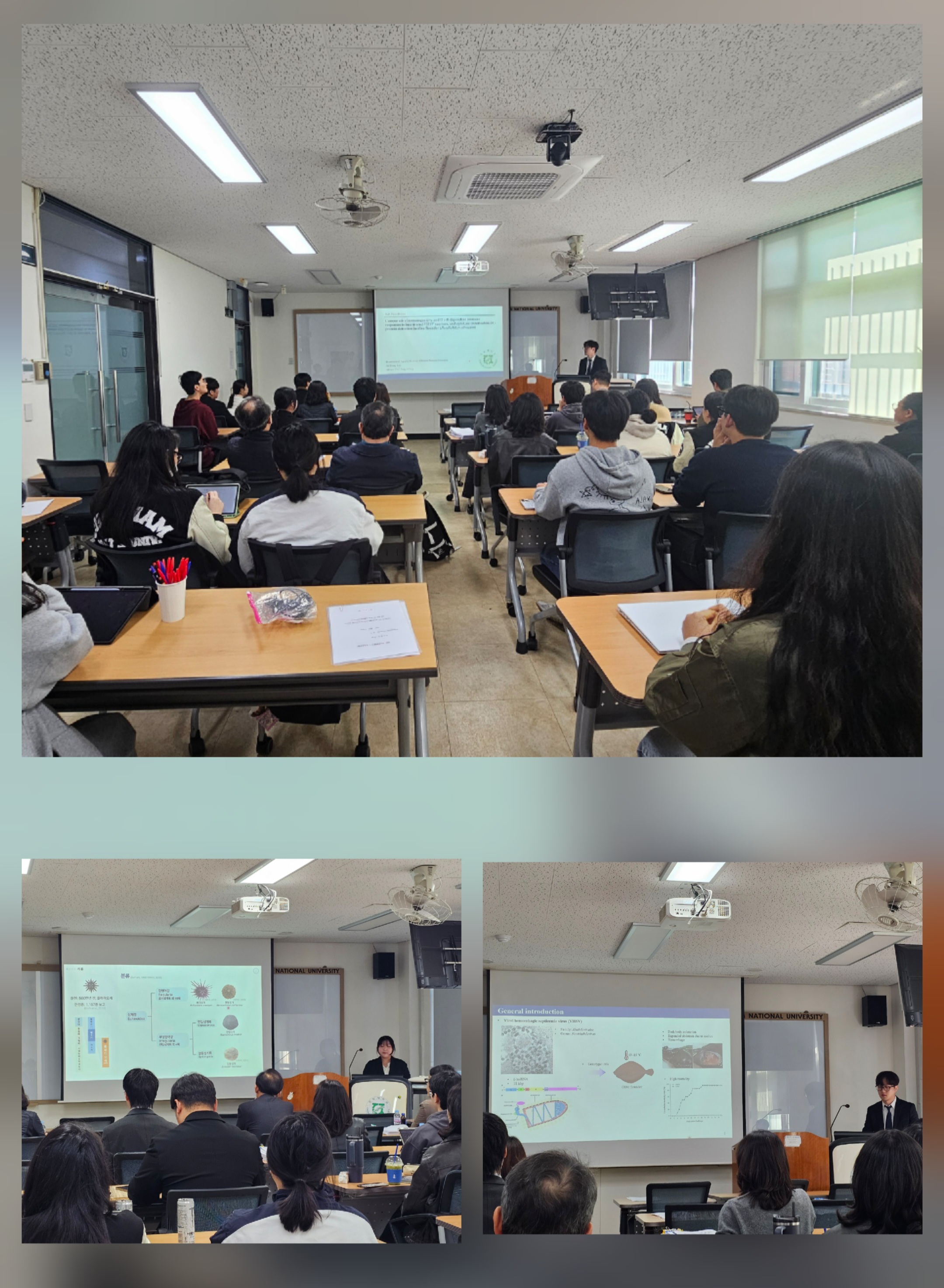 2025학년도 전기(2026년 2월 졸업예정자) 석.박사학위청구논문 공개발표 진행 대표이미지