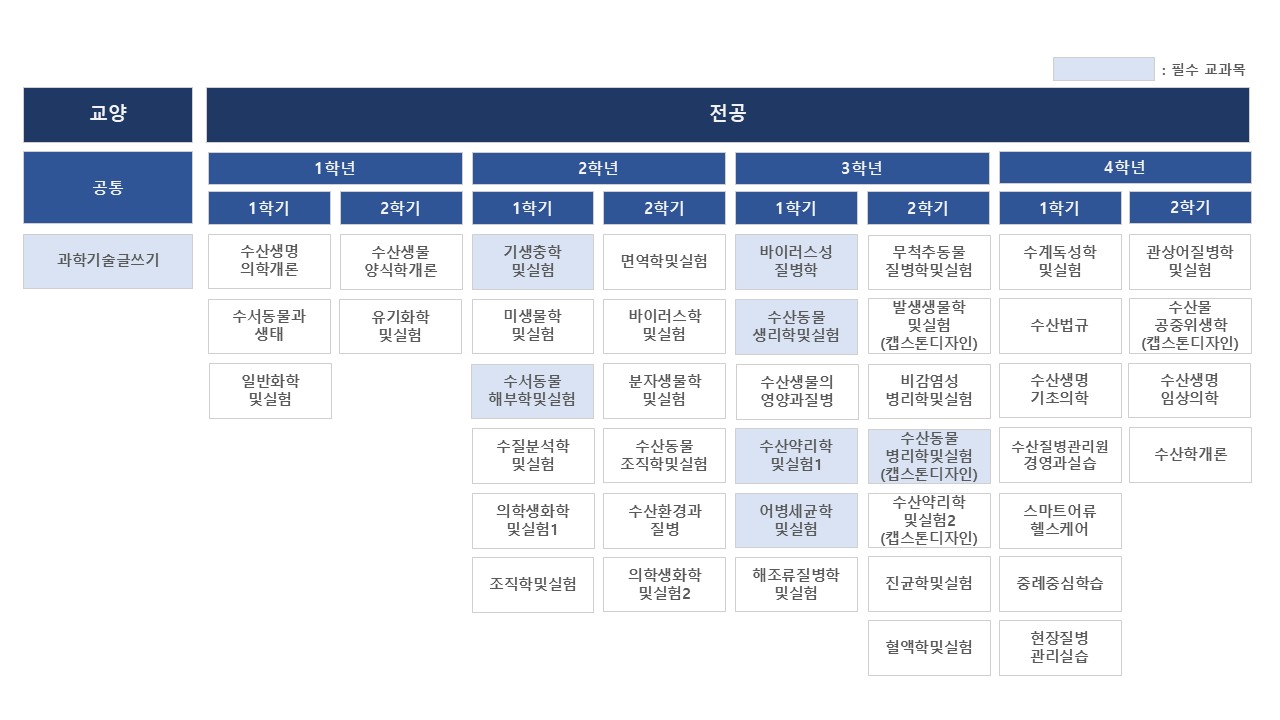 2026학년도 이수체계도
